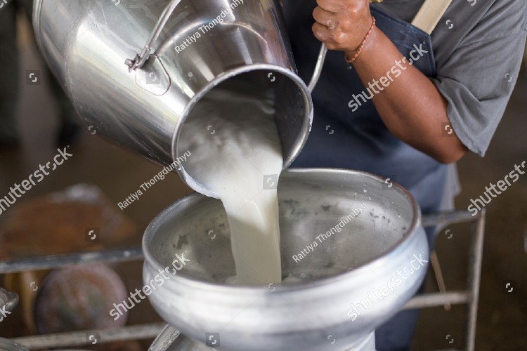 milk_procurement_bharatmilk